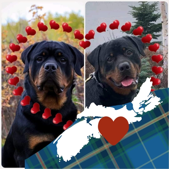 Toys, More Toys, Jewelry, Mugs and More. - Picture 1 of 1